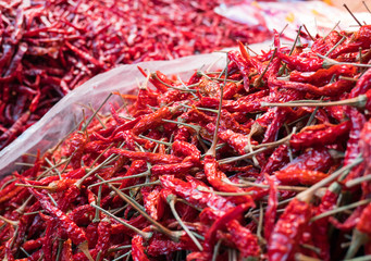 Fototapeta premium red dry chilli