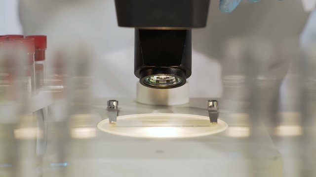 Medical scientist viewing samples under microscope, laboratory research