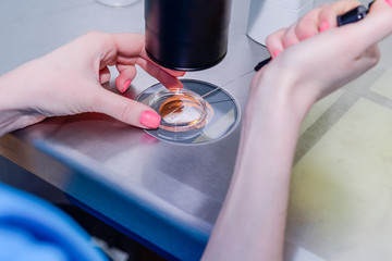 Close up Medical research technician putting some substance into Petri dishusing under the microscope in a laboratory of a Clinic of Reproductive medicine, selective focus