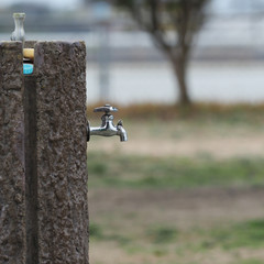 水飲み場