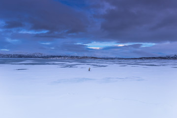 Lapland, Sweden - January 30, 2014: Lone traveler in Abisko National Park, Sweden