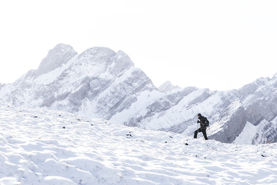 Stroller in the wild II