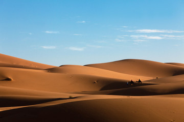 Fototapeta na wymiar désert de sable et dunes