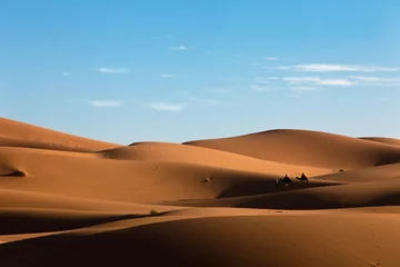  désert de sable et dunes © plprod