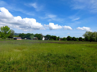 Cottages in nature