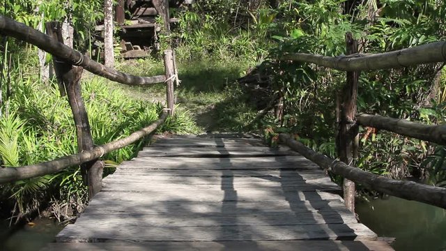 Wooden bridge passing through the forest
