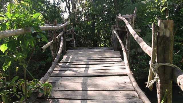 wooden bridge passing among rainforest
