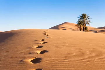 Selbstklebende Fototapete Sandige Wüste Palmen in der Wüste und Fußabdrücke