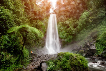 Fototapeta na wymiar Waterfall making its way into a pond in the rainforest
