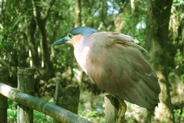 traveling is always fun.