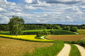 Sommerlicher Wanderweg in Bayern | Deutschland