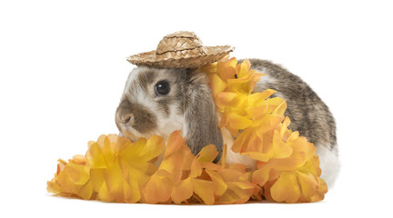 Obraz premium Festive rabbit with hat and flowers, isolated on white