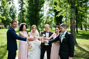 Wedding couple cheering champagne glasses with bridesmaids and best man at park.