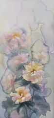 white roses watercolor background