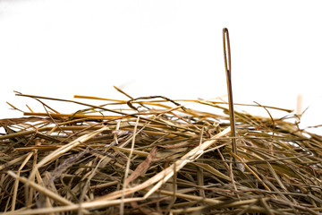 The idiom or the figure of speech “look for a needle in a haystack” is used to describe something elusive in a large space or a sisyphean task. Close up the needle is isolated on white with copy space