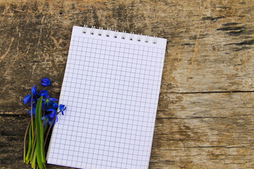Blank notepad with blue scilla flowers on wooden background
