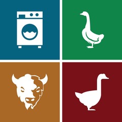 Set of 4 domestic filled icons