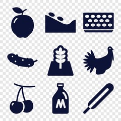 Set of 9 natural filled icons