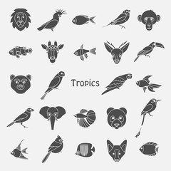 Vector illustration of tropical birds animals and fishes icon
