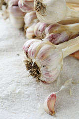 Fresh garlic on table