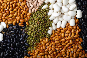 White, black and other beans closeup
