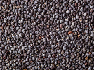 Семена мака