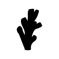 Coral vector isolated silhouette