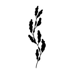 Seaweed vector