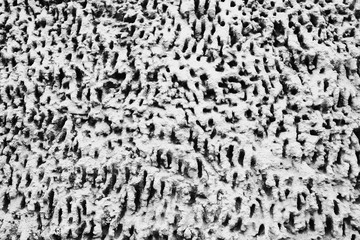 Gray rough decorative texture plaster on the wall outdoors