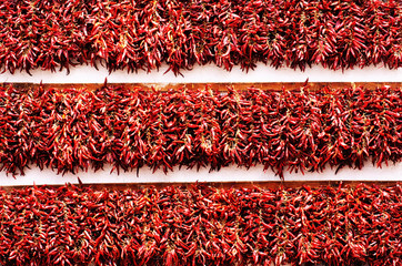 Dried paprika on the house of wall in Tihany, Hungary - 141900205