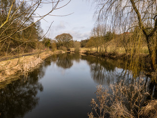 staw © Janusz