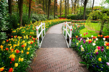 Stone walk way winding in spring formal flower garden Keukenhof, Holland, retro toned