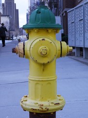 Yellow fire hydrant