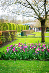 Colourful Blooming tree and tulips in an Spring Formal Garden, retro toned