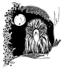 Eagle head. Adult antistress coloring page. Black and white hand drawn doodle bird. Ethnic patterned vector.