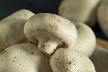 Raw Organic White Stuffing Mushrooms