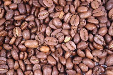 Coffee beans close-up