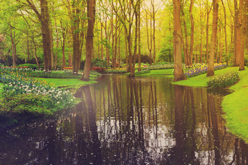 Colorful river, grass and flowerbed in dutch garden 'Keukenhof', Holland, retro toned