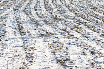 Landschaft mit Ackerfurchen im Schnee