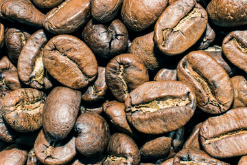 Coffee Beans Close Up