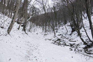 Mountain trail path in a snowy landscape