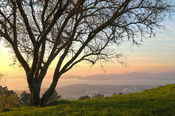 Fototapeta na wymiar HDR beautiful sunset landscape in a mountain of Vigo city, Galicia Spain