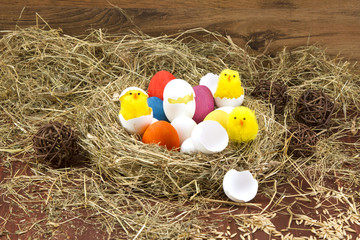 Easter colored eggs in the hay. Little newborn chick