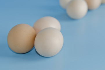easter eggs on a blue background