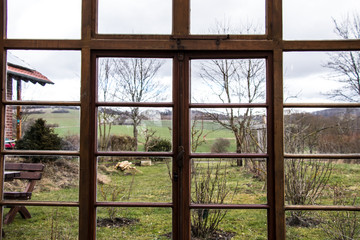 Fototapeta premium Windows into the green