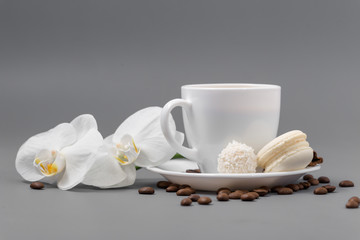 Orchid and white cup of coffee on a gray background