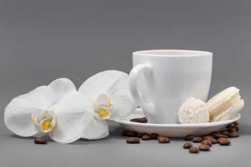 Orchid and white cup of coffee on a gray background