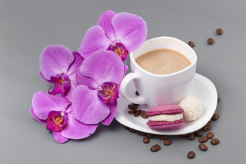 Orchid and white cup of coffee on a gray background
