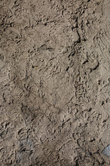 Beige decorative plaster