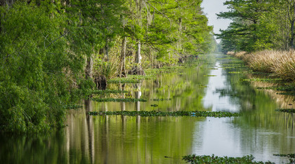 Long Swamp